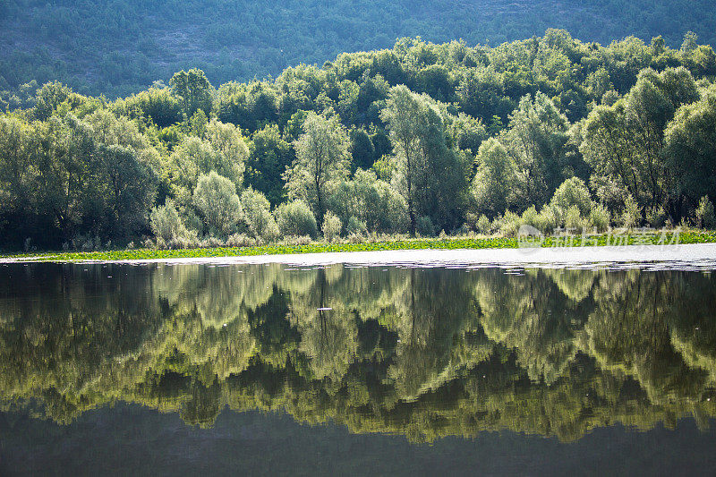 阿尔巴尼亚黑山的Shkodra Lake